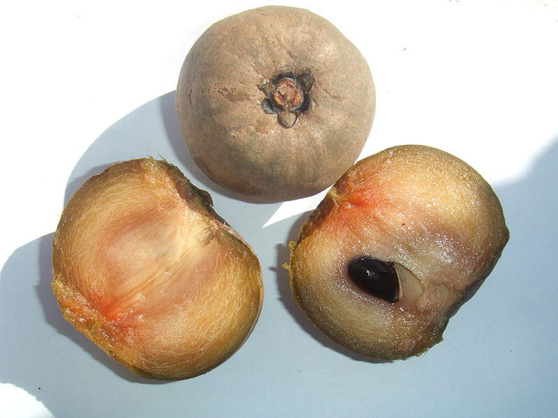 File:Manilkara zapota.jpg