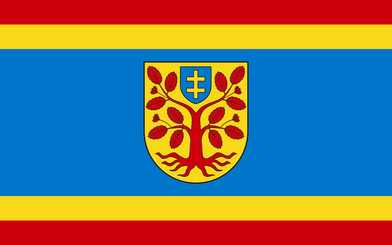 File:POL gmina Zbuczyn flag.png