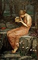 Psyche by John William Waterhouse