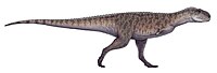 Rajasaurus