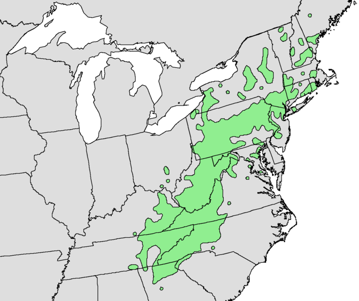 Файл:Rhododendron maximum range map.png