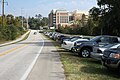 Large number of cars parking along Mowry Road during UF football game