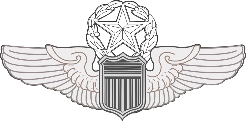 File:USAF Command Pilot Wings.svg