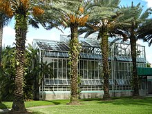 A glassy greenhouse structure surrounded by palm trees