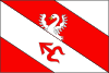 Flag of Tlumačov