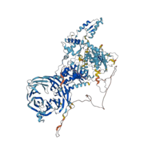 Imagen de la proteína LRRK1, extraída de AlphaFold.