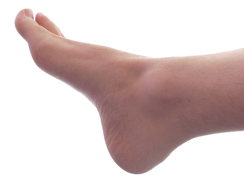 Файл:Male Right Foot 1.jpg