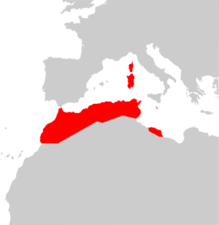 Distribución de Myotis punicus.