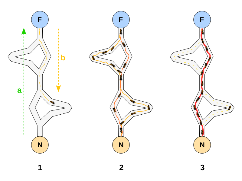 Файл:Aco branches.svg