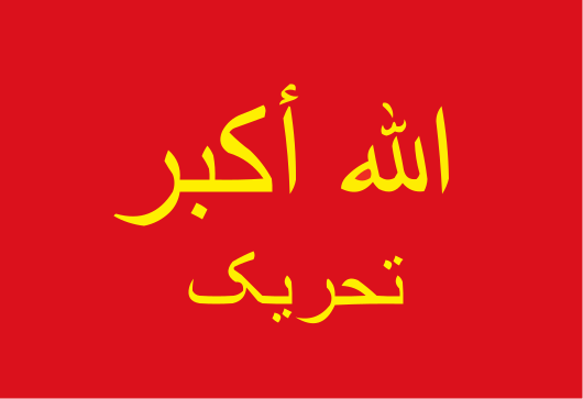 File:Allah-o-Akbar Tehreek Flag.svg