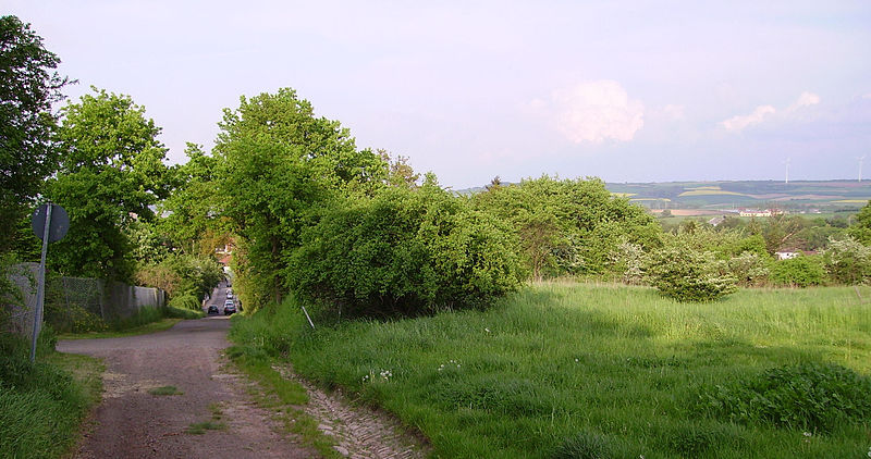 Archivo:Anhoehe Tennisclub Eisenberg.jpg