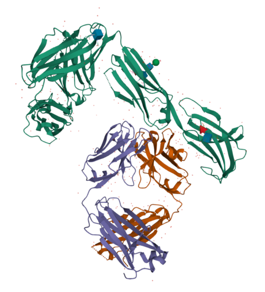 File:Emactuzumab.png