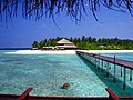 Image 43Filitheyo island beach with tall palm trees and blue fresh lagoons (from Maldives)