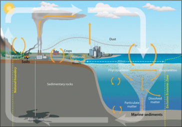 The implications of shifts in the global carbon cycle due to human activity are concerning scientists.[6]