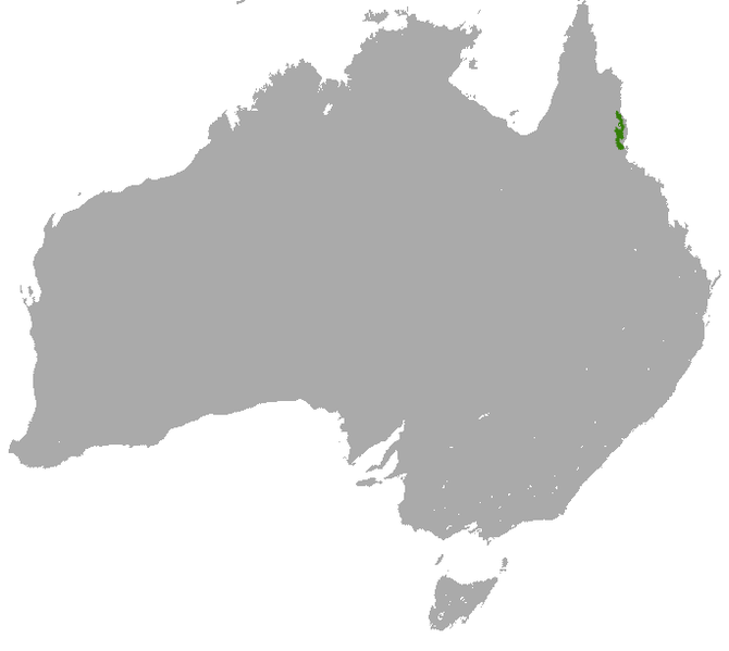 File:Lumholtz's Tree Kangaroo area.png