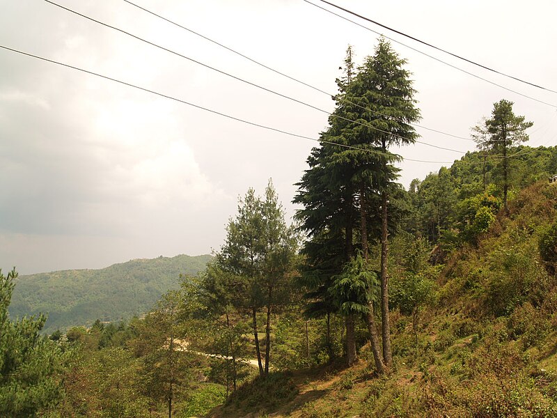 File:Nagarkot 01012612.JPG