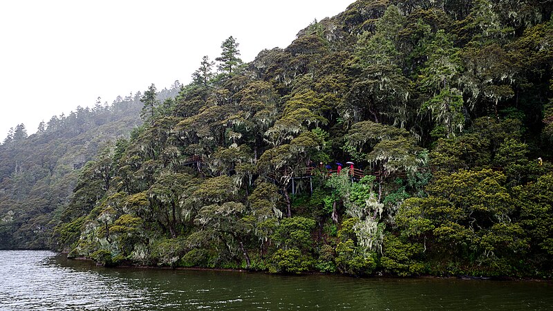 Файл:Pudacuo National Park (20573196943).jpg