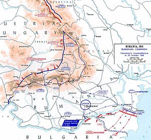 Румынский фронт по состоянию на 25 октября 1916 года