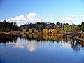 Lost Lagoon