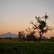 La Vega Zacatelco