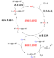 2019年1月12日 (六) 11:06版本的缩略图