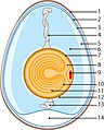 Миниатюра для версии от 06:42, 14 ноября 2004