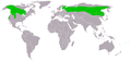 Миниатюра для версии от 10:48, 19 августа 2005