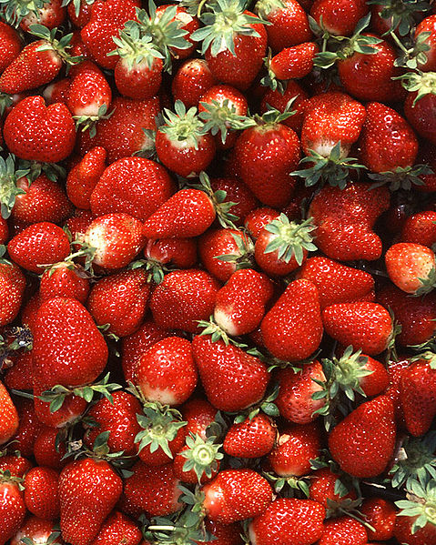 File:Chandler strawberries.jpg