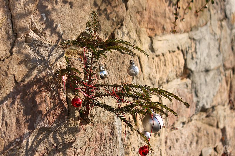 Файл:Christbaum in der Mauer.JPG