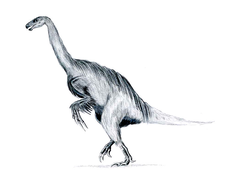 File:Erlikosaurus feathered.jpg