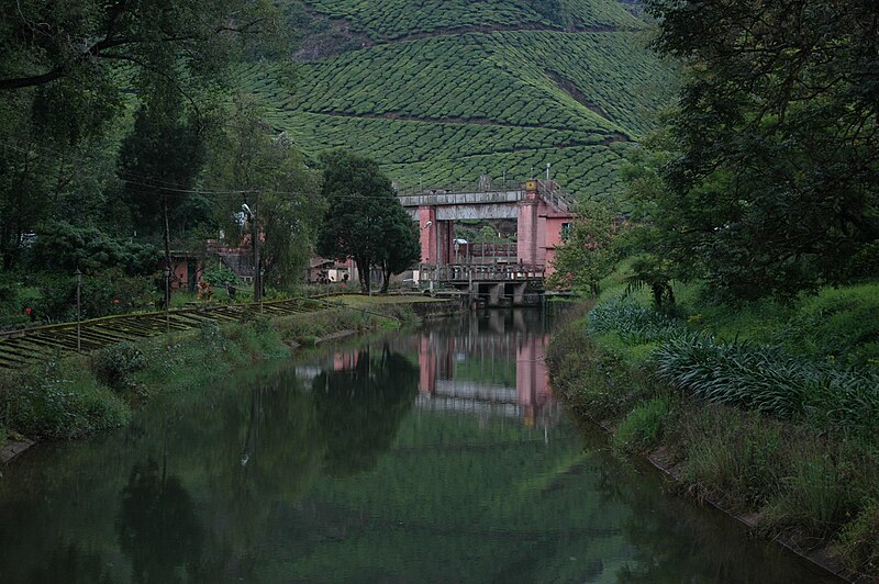 File:Munnar dam, Munnar.jpg