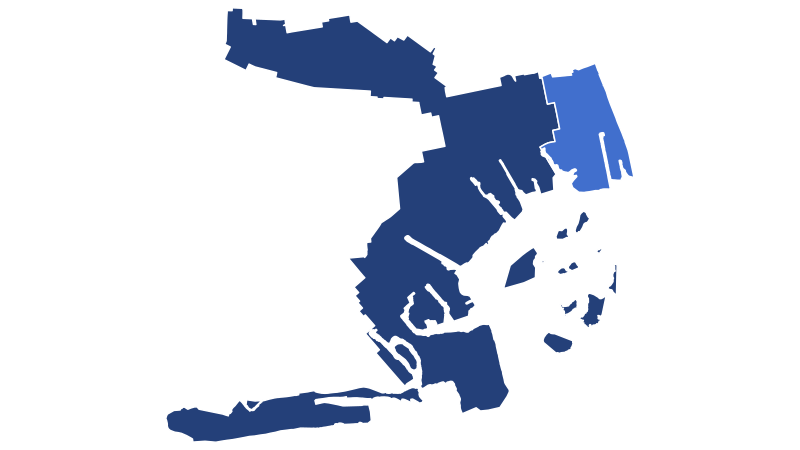 File:NewYorkCongD8(2018).svg