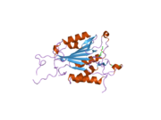 2c2k: CRYSTAL STRUCTURES OF CASPASE-3 IN COMPLEX WITH AZA-PEPTIDE MICHAEL ACCEPTOR INHIBITORS.