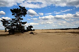 Hoge Veluwe National Park