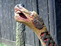 Viking Museum Foteviken in Skanör. Carved dragon head