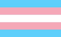 Orgullo Trans