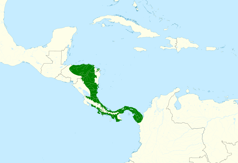 File:Trogon tenellus map.svg