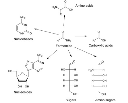 Figure 2. Main prebiotic building blocks that can be synthesized from formamide under plausible prebiotic conditions.[1]