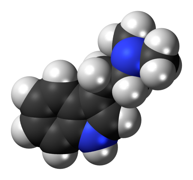 File:Dimethyltryptamine molecule spacefill.png