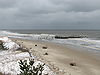 Cape Henlopen State Park