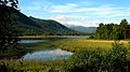 Hovsfjorden is a nature reserve, and is a part of the river Storåni.