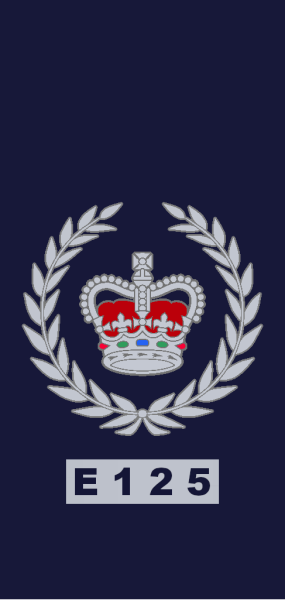 File:New Zealand Police OR-8.svg