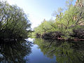 Upper Quail Creek Reservoir