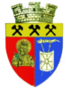 Coat of arms of Petrila