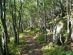 北嶺山脊登山道