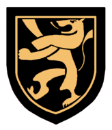 Team emblem: a gold lion on a black shield background