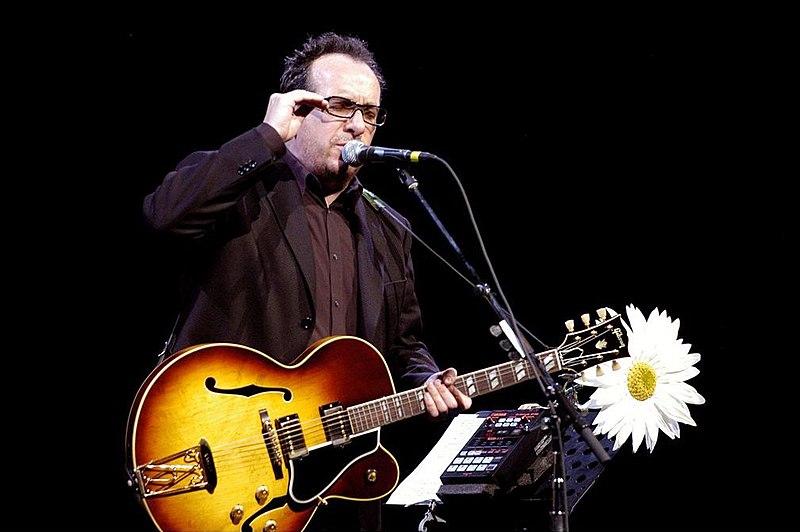 Файл:Elvis costello.jpg