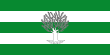 Flag of Líjar Spain.svg