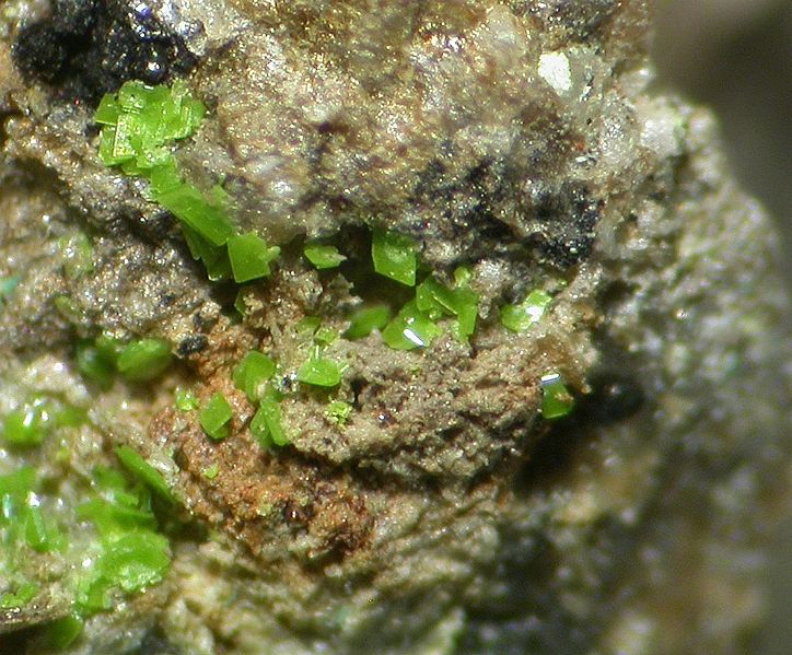 File:Sengierite-497485.jpg