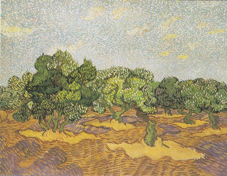 Archivo:Van Gogh - Olivenhain2.jpeg